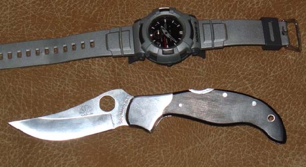Spyderco_Persian_01[1].jpg