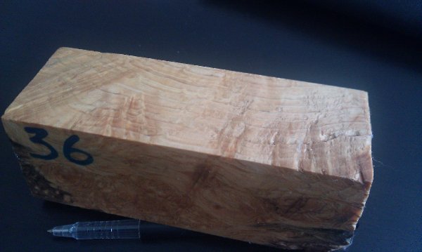 IMAG0207.jpg