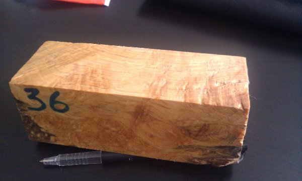 IMAG0206.jpg