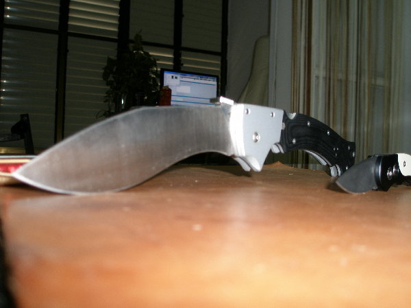P1010004.JPG