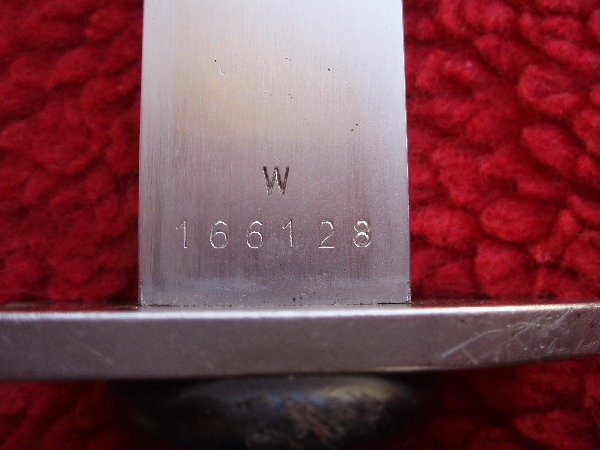 P1010007.JPG